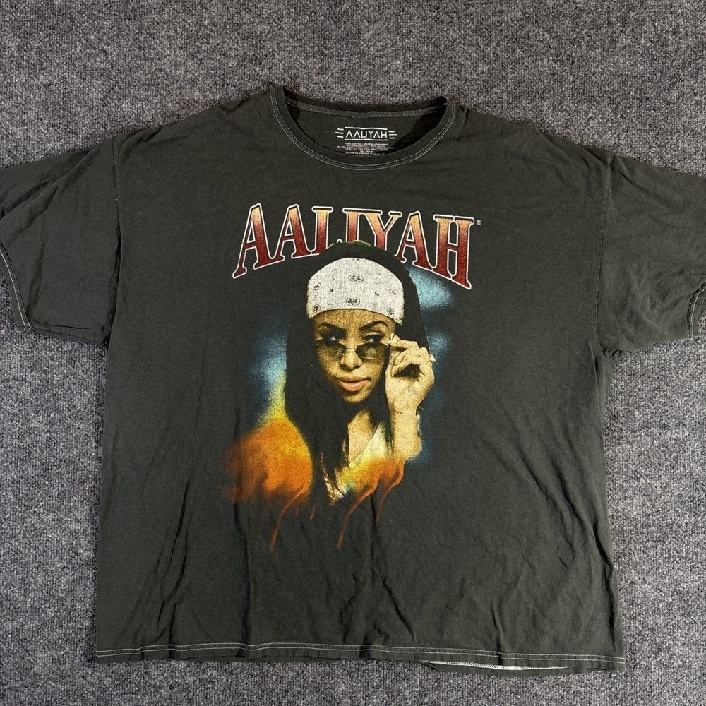 Aaliyah Men's L Gray Cotton Graphic Print T-Shirt Short Sleeve Knit Music 2XL